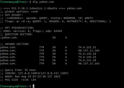 dig output|dig short output.